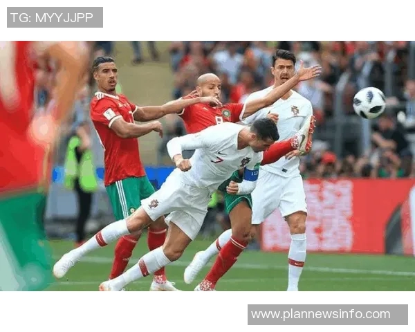 足球明星贝利模型的概念解析与应用探讨