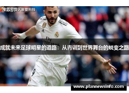 成就未来足球明星的道路：从青训到世界舞台的蜕变之路