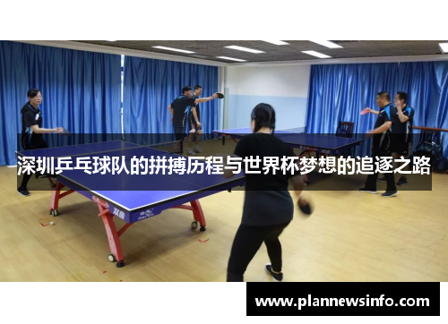 深圳乒乓球队的拼搏历程与世界杯梦想的追逐之路