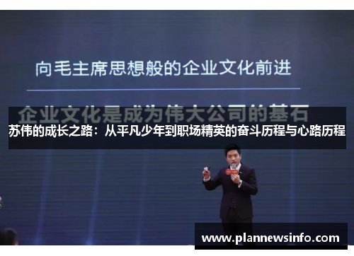 苏伟的成长之路：从平凡少年到职场精英的奋斗历程与心路历程