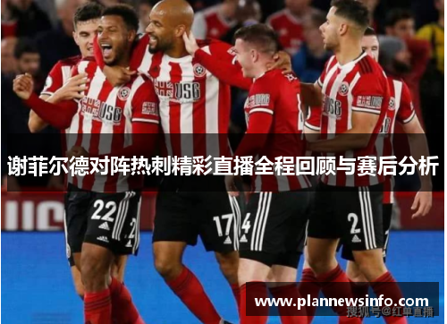 谢菲尔德对阵热刺精彩直播全程回顾与赛后分析